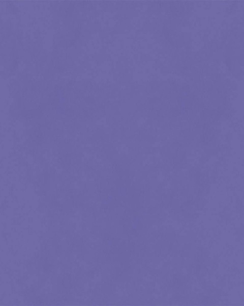 Hatte Me! Palette | 24 purple